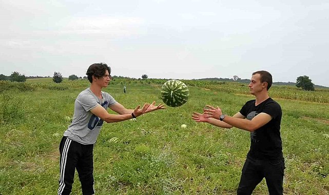 Karpuz nasıl seçilir? Karpuz hakkında ilginç bilgiler
