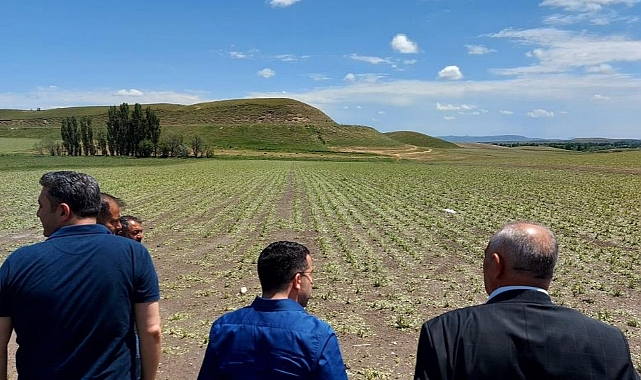 Kars'ta doludan zarar gören çiftçilerin mağduriyeti giderilecek