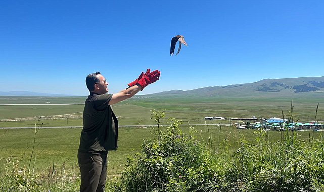 Kars'ta tedavileri tamamlanan kerkenezler doğaya bırakıldı