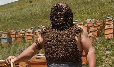 Karslı arıcıdan 'yok artık' dedirten görüntüler
