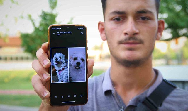 Kaybolan köpeğini bulmak için sokak sokak geziyor