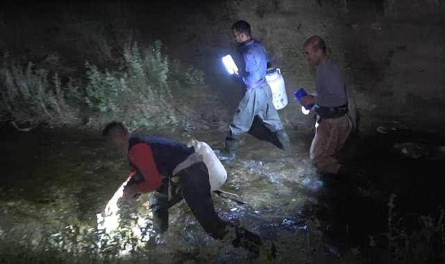 Kurbağa avcılarının gece mesaisi