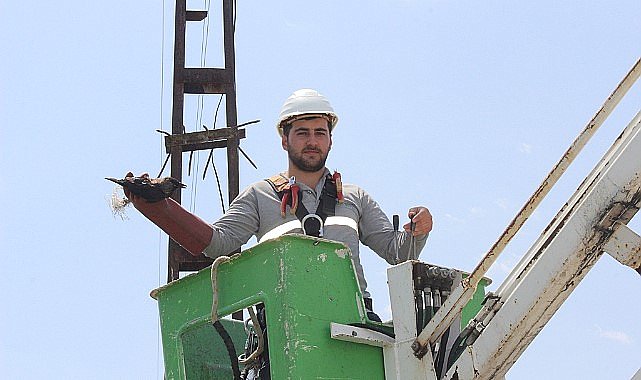 Mahsur kalan karga Aras ekipleri tarafından kurtarıldı