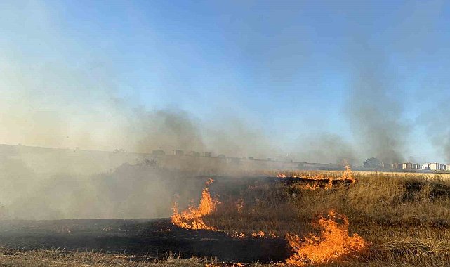 Malatya'da anız yakılması yasaklandı