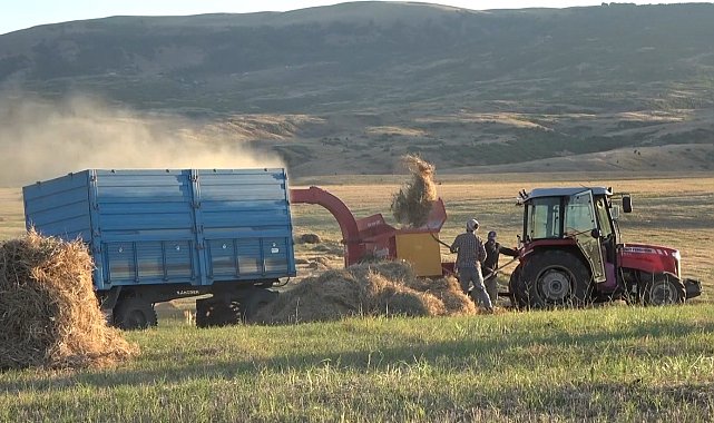 Muş Ovası'nda çiftçilerin kış mesaisi başladı