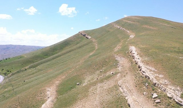 Muş'ta 20 milyon yıllık deniz canlıları fosili bulundu