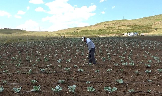 Muş'ta 30 yıl sonra bir ilk: Köylerine dönüp tarıma başladılar