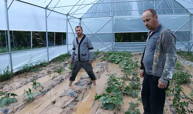 Oltu'da sağanak yağış sele dönüştü