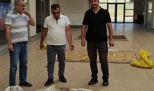 Salep soğanlarını tahrip eden kişilere 488 bin 628 TL para cezası verildi