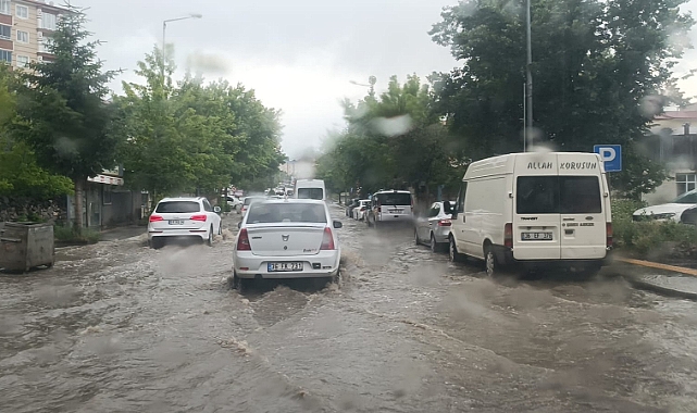 Sarıkamış'ta rüzgar, sağanak ve dolu etkili oldu