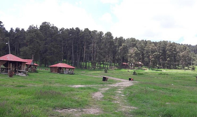 Soğuksu tabiat parkı dışındaki ormanlık alanlara giriş yasaklandı