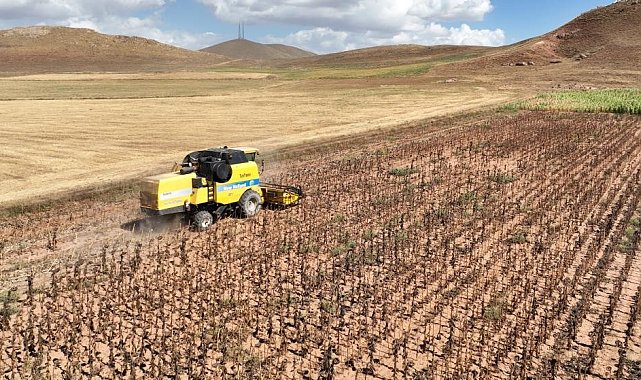 Tarımsal girdi fiyat endeksi yıllık yüzde 33,22, aylık yüzde 0,26 arttı