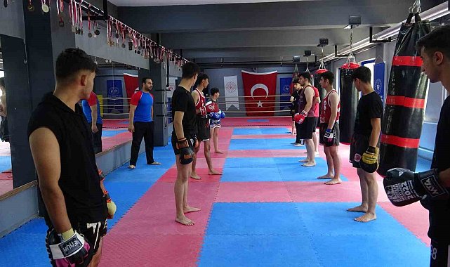 Tatvan'da ringlerin yıldızları yetişiyor