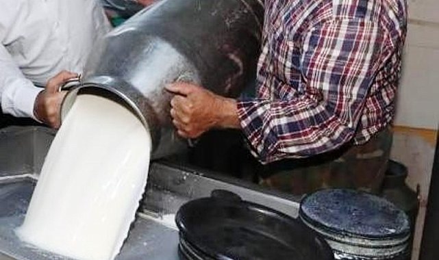 Ticari süt işletmelerince 944 bin 349 ton inek sütü toplandı