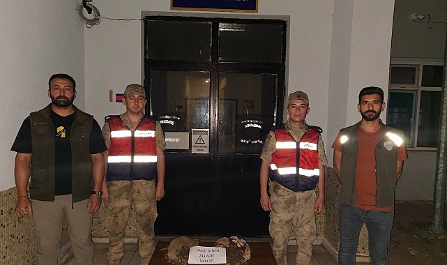 Tunceli'de salep soğanı toplayan 2 kişiye 220 bin lira ceza kesildi