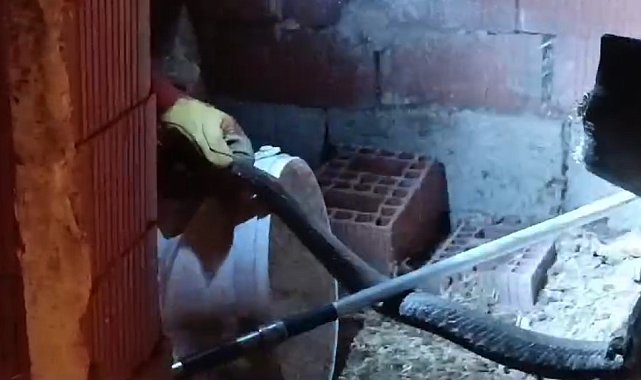 Türkiye'nin en zehirli yılanı tavuk kümesine girdi
