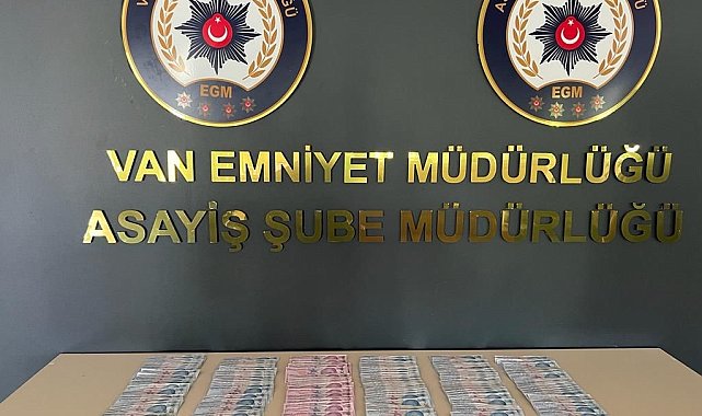 Van'da değişik suçlardan 24 kişi tutuklandı