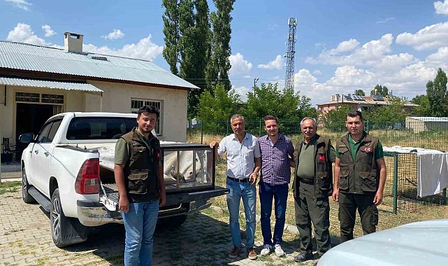 Van'da kafes avcılığı yapan 2 kişi güvenlik güçlerine takıldı