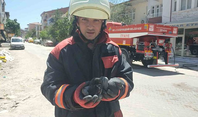 Yangında etkilenen güvercinleri itfaiye kurtardı