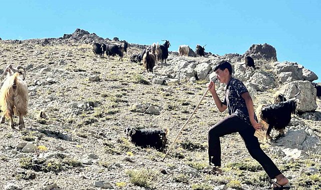 Yaylada çobanlık yapan Muhammet, LGS'de Türkiye ikincisi oldu