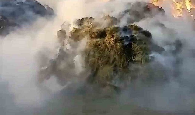 Yüksekova'da çıkan yangında 20 bin bağ ot kül oldu