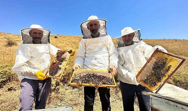 2000 rakımda tescilli geven balının hasadı başladı