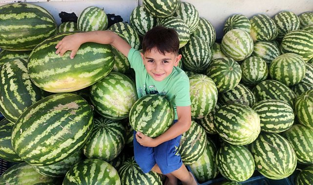 'Hıdıroz' karpuzu tezgahlardaki yerini aldı