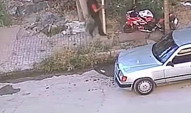 Ağaca bağlı motosikleti çalmaya çalışan acemi hırsız, başarılı olamadı