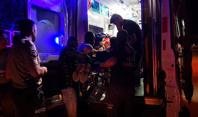 Ağaçtan düşen çocuk yaralandı