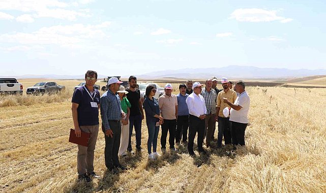 Ağrı'da biçerdöver denetimleri sürüyor