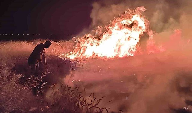 Ağrı'da bir tarla küle döndü
