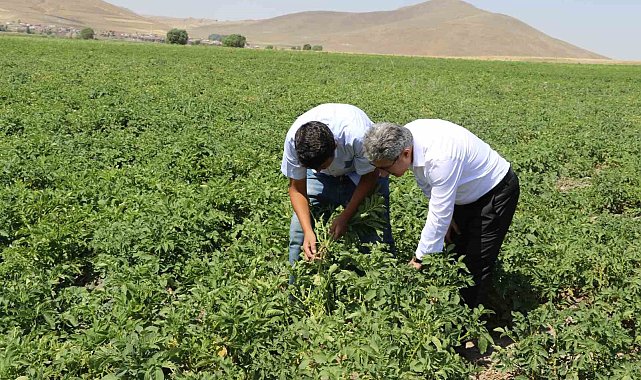 Ağrı'da patates üreticilerine destek