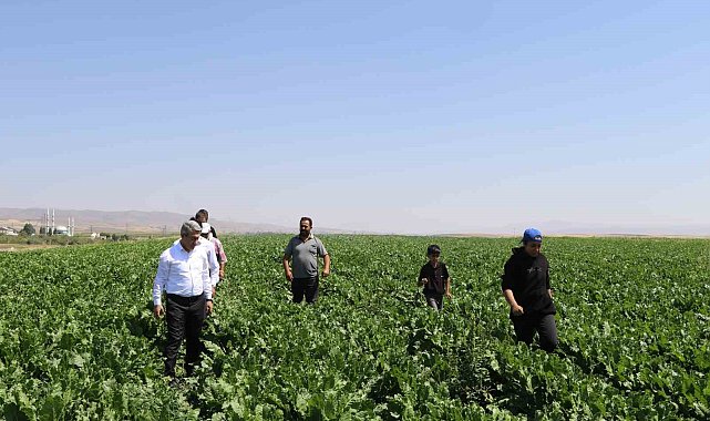 Ağrı'da Tarım ve Orman Müdürü Engin'in çiftçi ve veteriner hekim ziyaretleri
