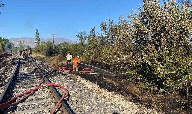 Arazide çıkan yangın büyümeden söndürüldü