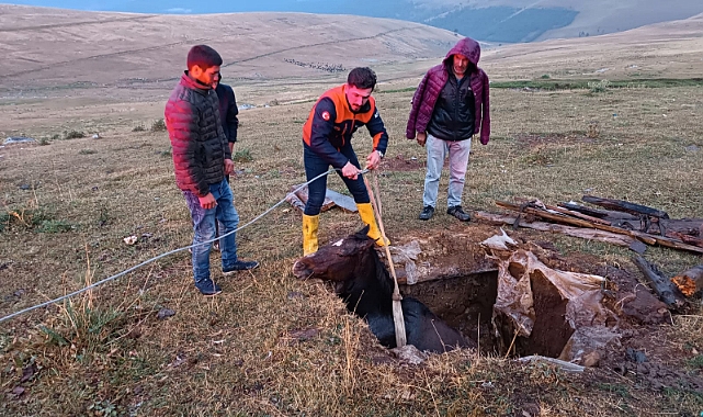 Ardahan'da foseptik çukuruna düşen atı AFAD kurtardı