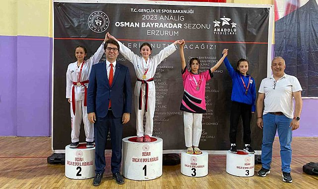 Aşkale'de Taekwondo Analig grup müsabakaları başladı