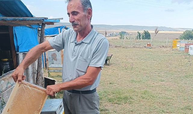 "Bal üretimi bu sene yüzü güldürüyor"