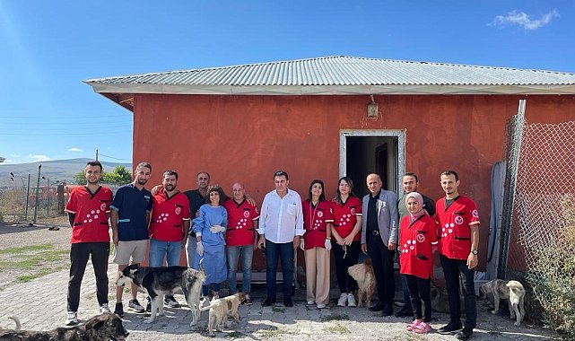 Barınaktaki hayvanları kısırlaştırıp bakımını yaptılar