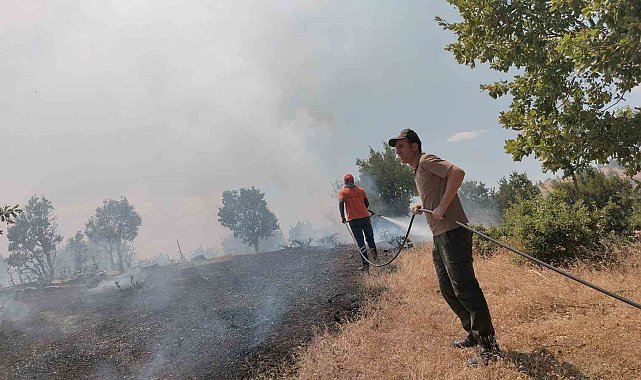 Bingöl'de 5 farklı noktada çıkan yangın kontrol altına alındı