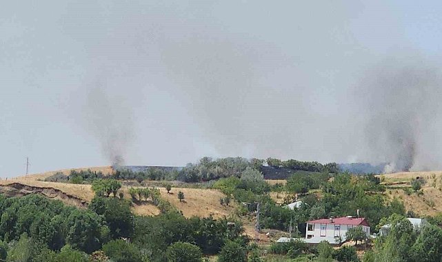 Bingöl'de ağaçlık alanda çıkan yangın büyümeden söndürüldü