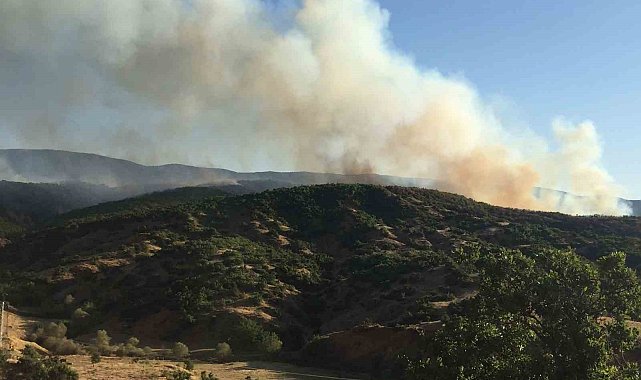 Bingöl'de çıkan orman yangını kontrol altına alındı