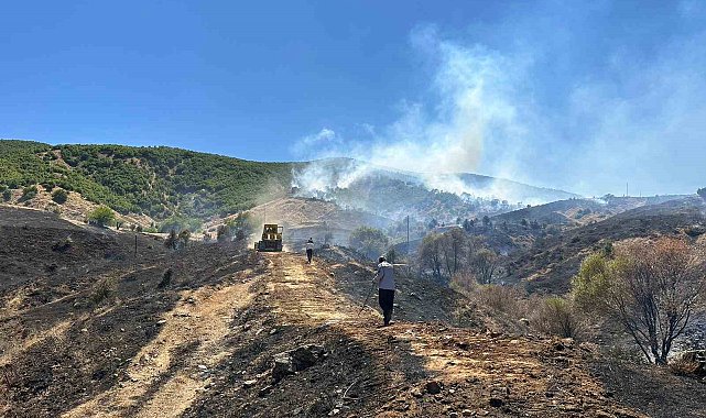 Bingöl'de çıkan orman yangını kontrol altına alındı