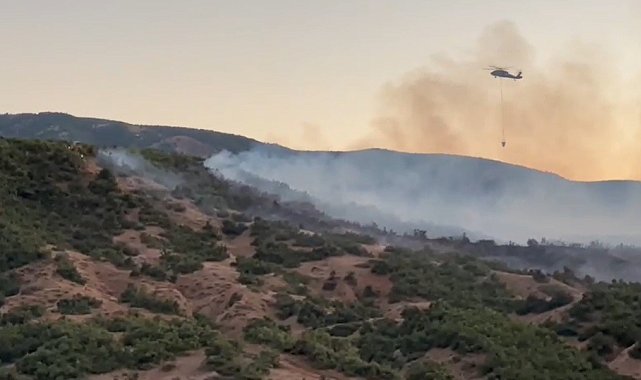 Bingöl'de orman yangınına müdahale sürüyor