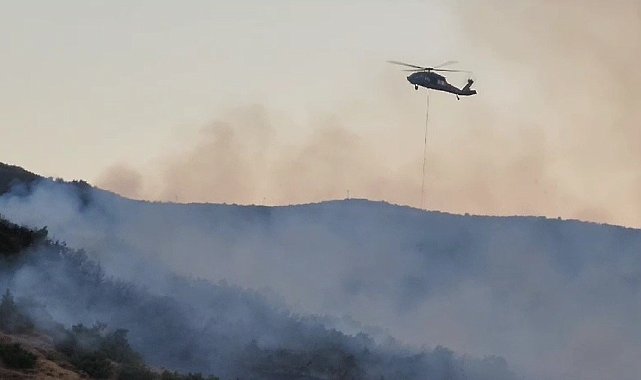 Bingöl'deki orman yangını kontrol altına alındı, soğutma çalışmaları yapılıyor