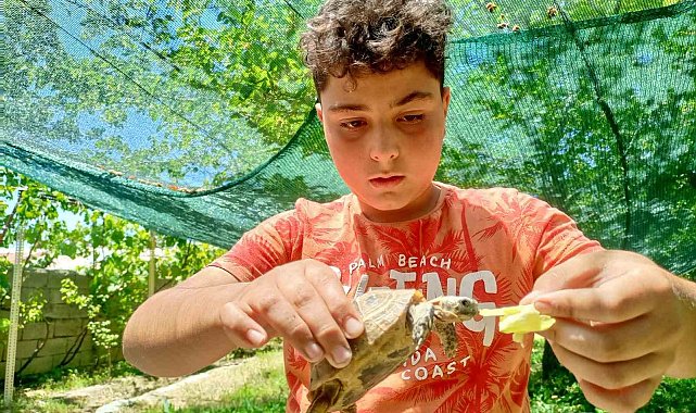 Bulduğu kaplumbağayı sahiplendi, evde elleriyle besliyor