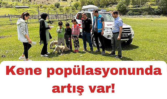 Doğada bulunurken kene popülâsyonuna dikkat!