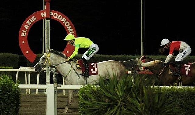 Elazığ İl Tarım Müdürlüğü Koşusu'nu 'Dörtnalbeyi' kazandı