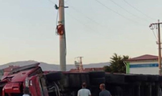 Elazığ'da büyükbaş hayvan taşıyan kamyon devrildi, 11 hayvan telef oldu