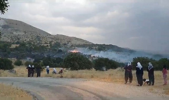 Elazığ'da düşen yıldırım otluk alanları yaktı