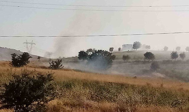 Elazığ'da ot yangını